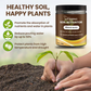 🔥BUY 1 GET 1 FREE🔥Soil Improvement Loosening Agent