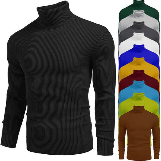 🔥2026 New Arrivals: 50% Off for a Limited Time!🔥Winter Men's Knitted Turtleneck Slim Sweater