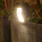 ✨🔥Installation-free Solar Clip-Lamp